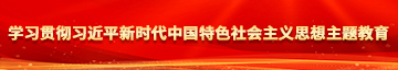 暴操白丝小BB学习贯彻习近平新时代中国特色社会主义思想主题教育